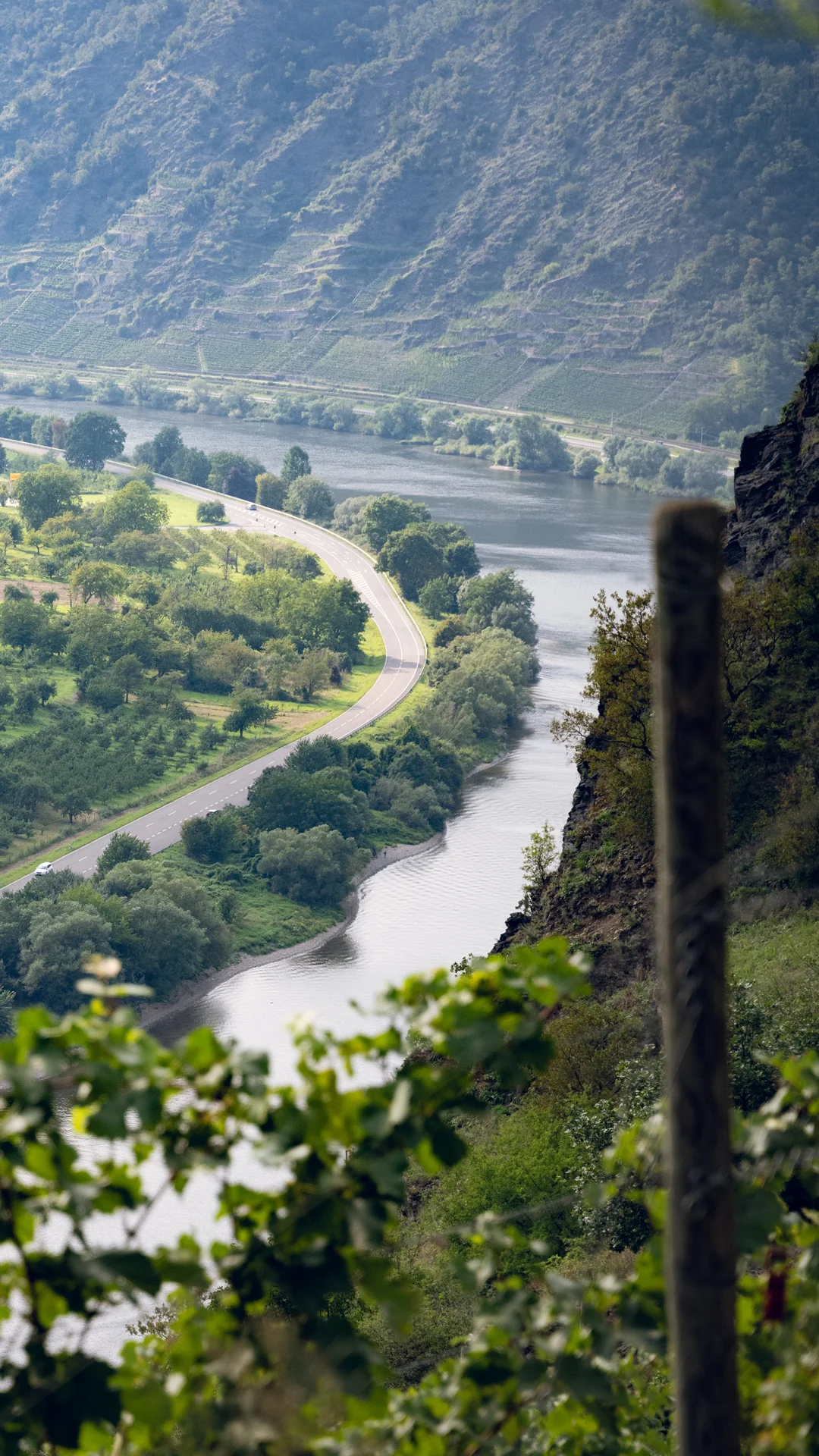 Image in an image slider Image in an image slider